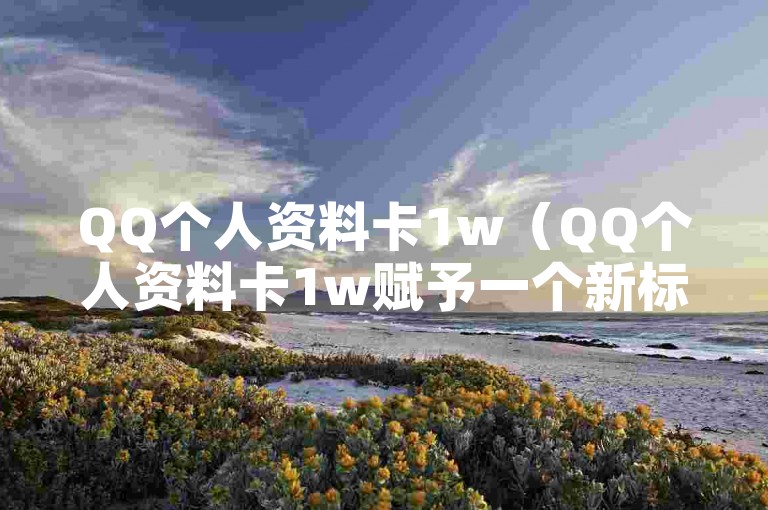 QQ个人资料卡1w（QQ个人资料卡1w赋予一个新标题）