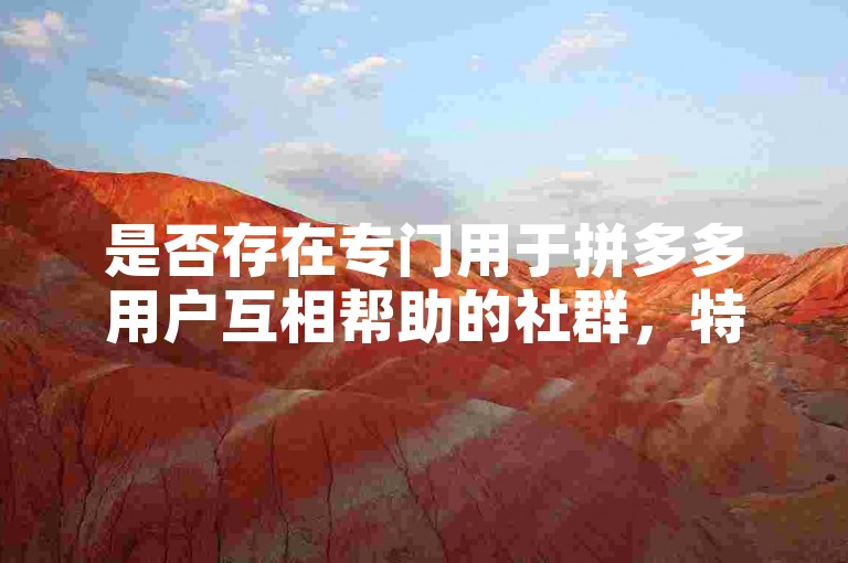 是否存在专门用于拼多多用户互相帮助的社群，特别是针对新加入用户的？