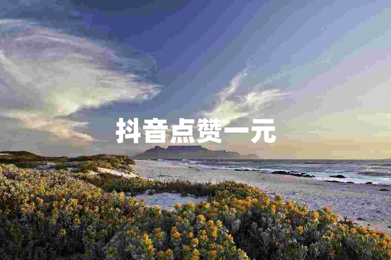 抖音点赞一元50赞 - KS24小时点赞自助服务