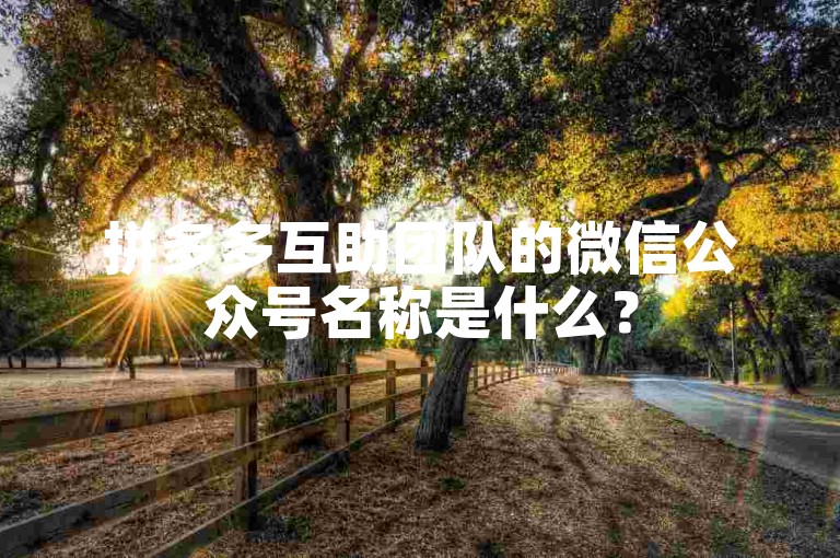 拼多多互助团队的微信公众号名称是什么？