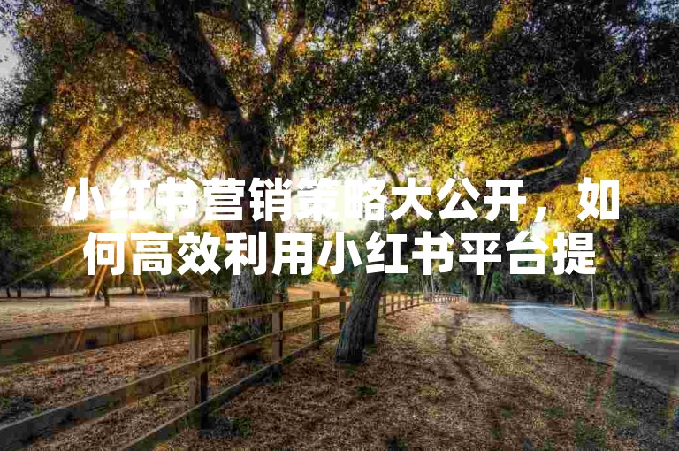 小红书营销策略大公开，如何高效利用小红书平台提升品牌影响力！2025营销人必备技巧。