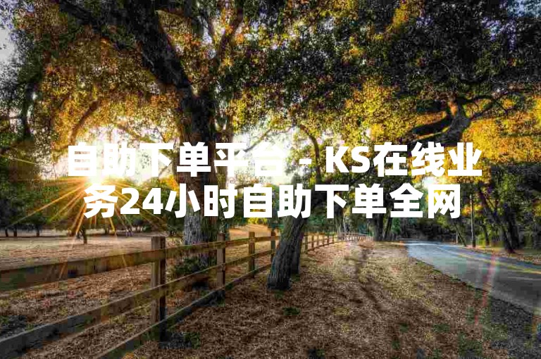 自助下单平台 - KS在线业务24小时自助下单全网