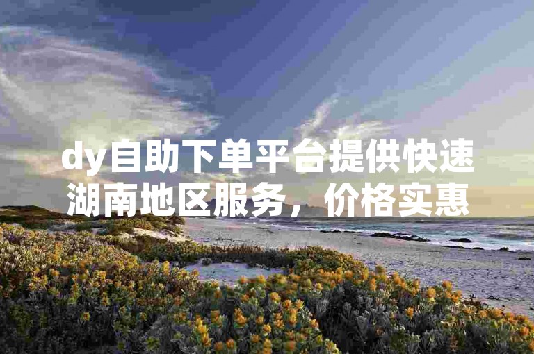 dy自助下单平台提供快速湖南地区服务，价格实惠。