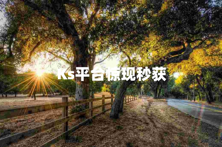 Ks平台惊现秒获5000赞神技，2024年必备热门技巧！