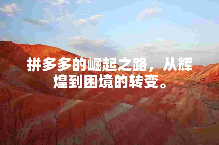拼多多的崛起之路，从辉煌到困境的转变。