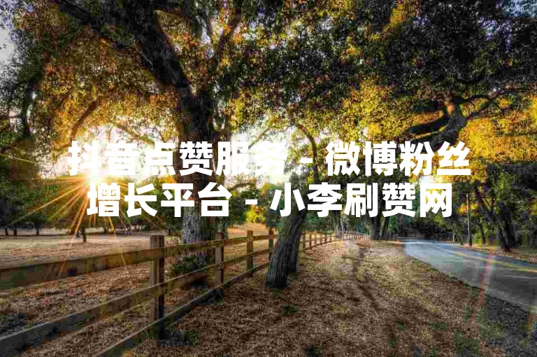 抖音点赞服务 - 微博粉丝增长平台 - 小李刷赞网