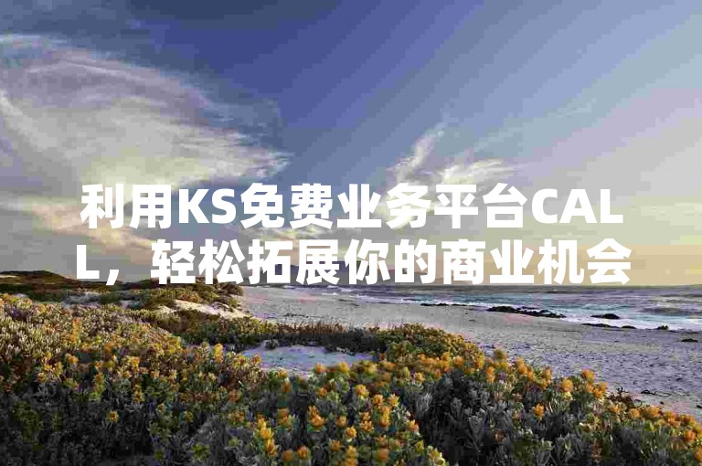 利用KS免费业务平台CALL，轻松拓展你的商业机会，成为行业新秀！