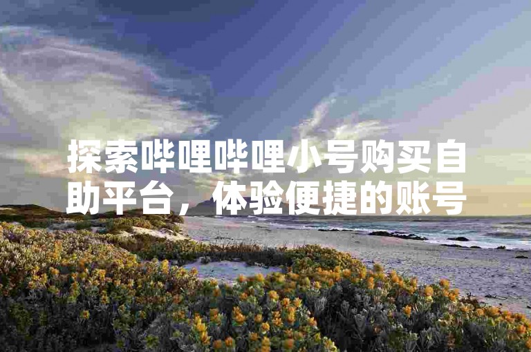 探索哔哩哔哩小号购买自助平台，体验便捷的账号获取服务！