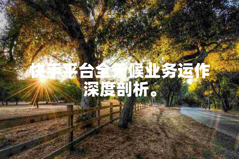 快手平台全天候业务运作深度剖析。