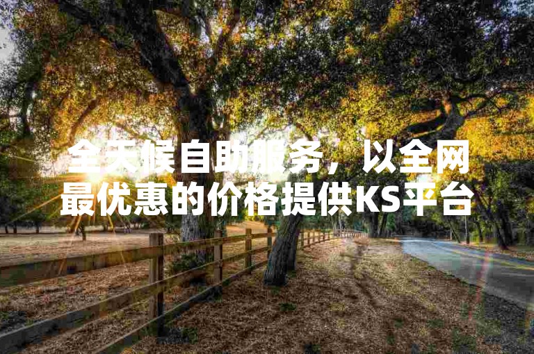 全天候自助服务，以全网最优惠的价格提供KS平台直播、抖音销售和QQ空间流量增长的在线下单服务。
