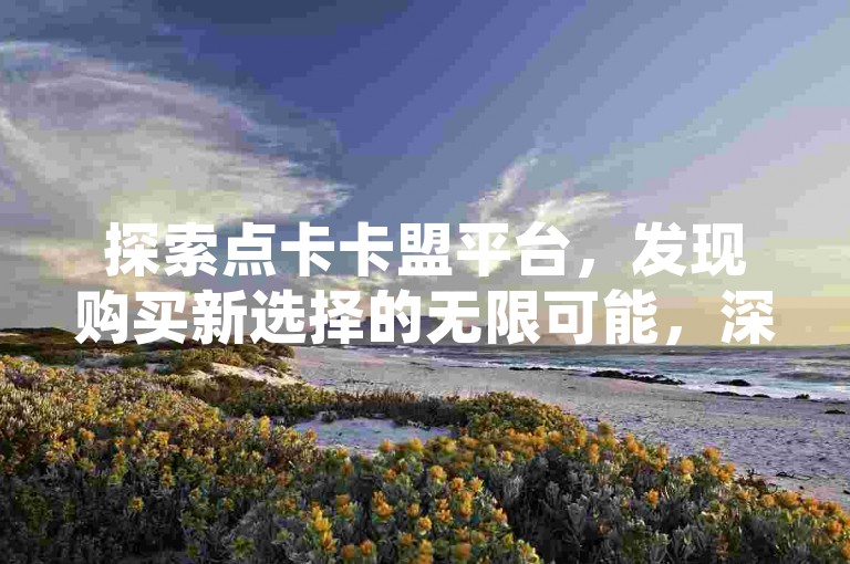 探索点卡卡盟平台，发现购买新选择的无限可能，深入了解其独特优势与显著特点。