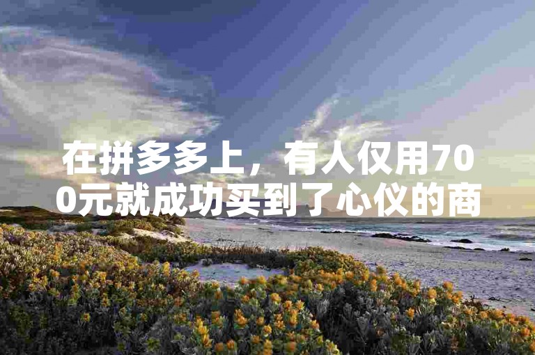 在拼多多上，有人仅用700元就成功买到了心仪的商品（拼多多700元购物成功的惊喜案例分享）。