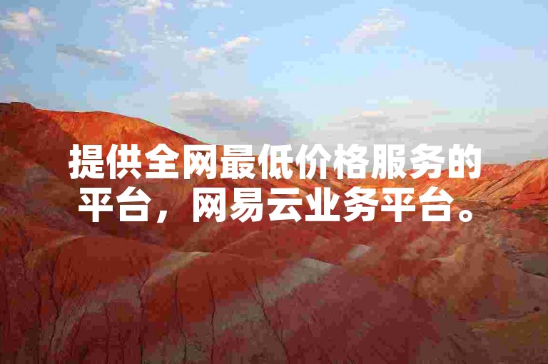 提供全网最低价格服务的平台，网易云业务平台。