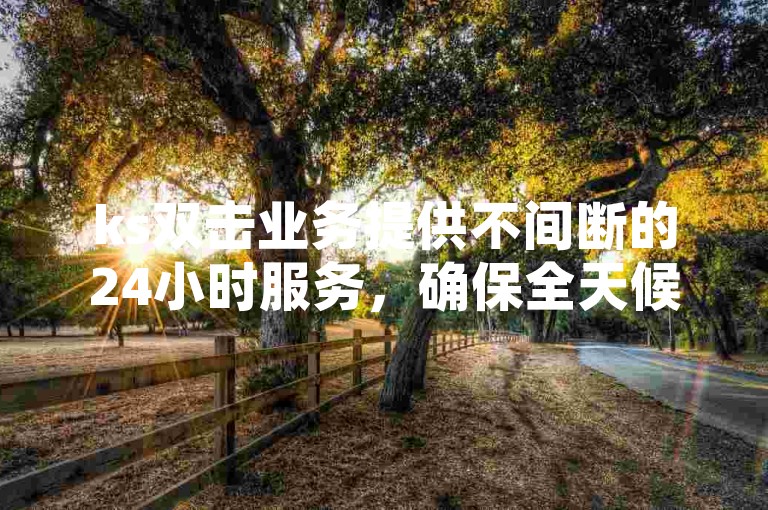 ks双击业务提供不间断的24小时服务，确保全天候满足您的需求。