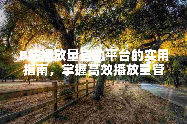 B站播放量自助平台的实用指南，掌握高效播放量管理工具，助你快速成长！