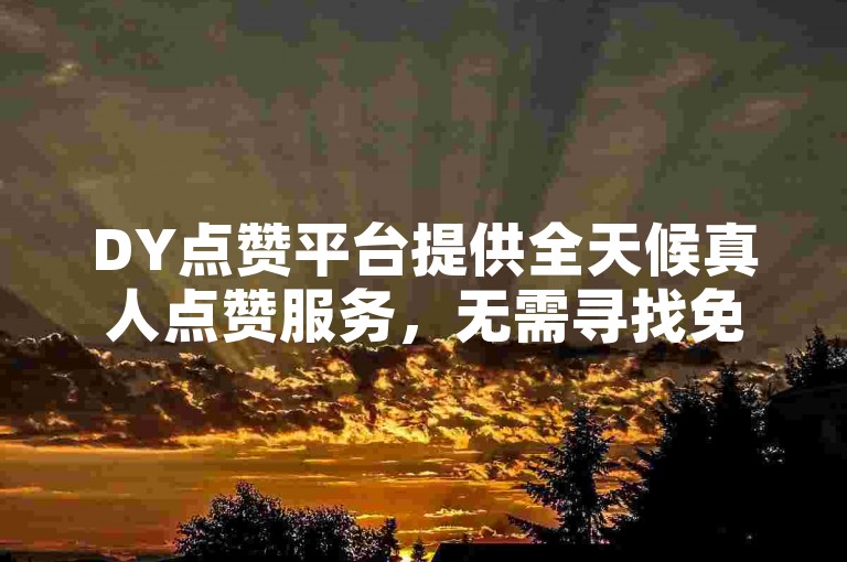 DY点赞平台提供全天候真人点赞服务，无需寻找免费刷双击软件，通过微信支付享受便捷的自助下单服务。