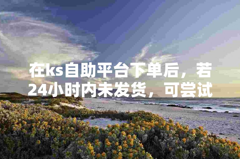 在ks自助平台下单后，若24小时内未发货，可尝试dy赞在线自助下单，仅需5毛。