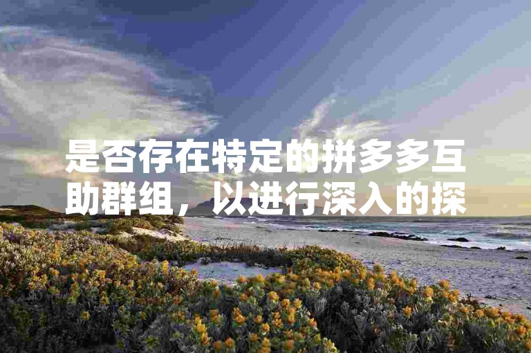 是否存在特定的拼多多互助群组，以进行深入的探讨和分析？
