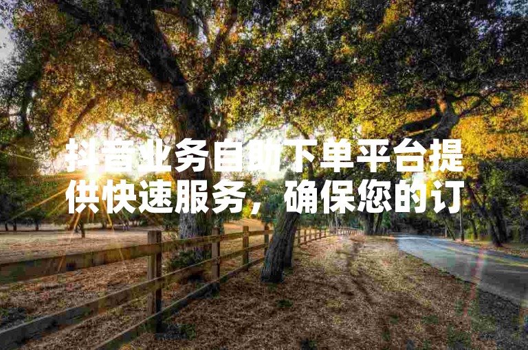 抖音业务自助下单平台提供快速服务，确保您的订单秒到。
