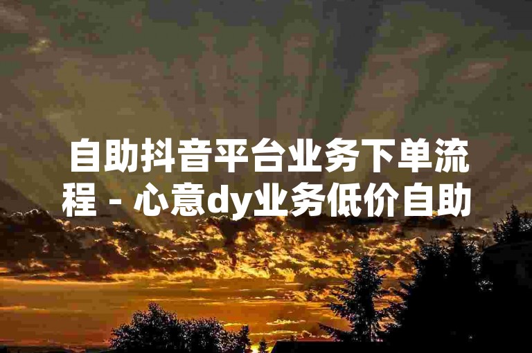 自助抖音平台业务下单流程 - 心意dy业务低价自助下单，请按照以下步骤操作，首先，登录我们的自助服务平台；然后，选择您需要的抖音业务类型；接着，根据提示填写相关信息并确认订单；最后，完成支付即可享受我们提供的低价优质服务。