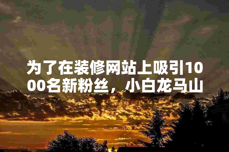 为了在装修网站上吸引1000名新粉丝，小白龙马山肥可以分享专业的房产装修技巧和实用的设计案例。