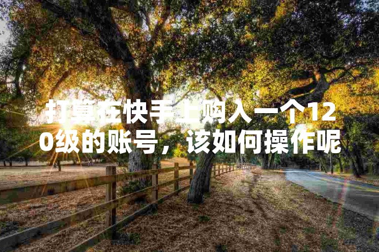 打算在快手上购入一个120级的账号，该如何操作呢？