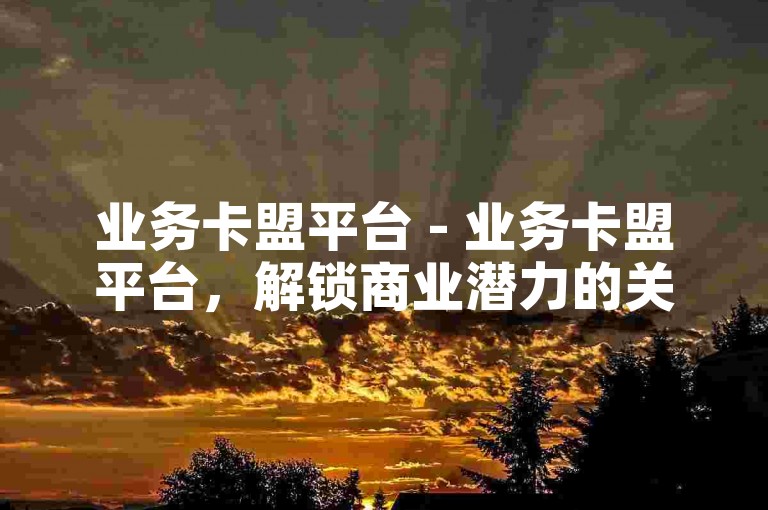 业务卡盟平台 - 业务卡盟平台，解锁商业潜力的关键！