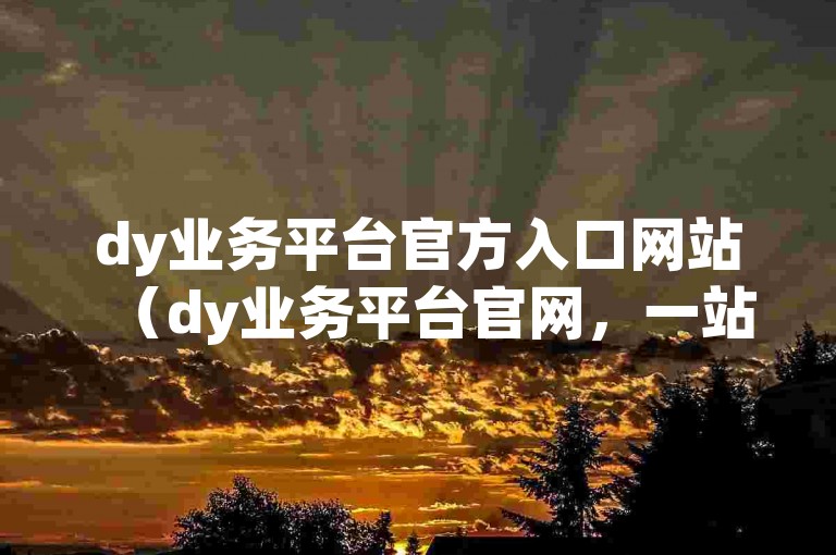 dy业务平台官方入口网站（dy业务平台官网，一站式服务体验）