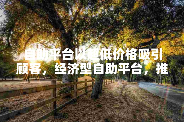 自助平台以超低价格吸引顾客，经济型自助平台，推出极具性价比的低价服务！初体验者的理想选择！