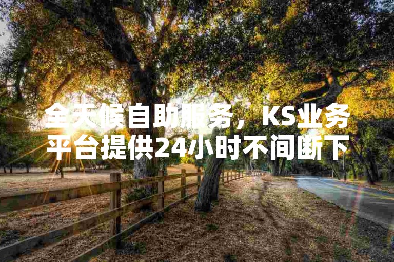 全天候自助服务，KS业务平台提供24小时不间断下单体验，免费领取5000赞，快速提升dy评论点赞量。