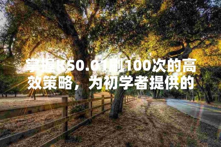 掌握KS0.01刷100次的高效策略，为初学者提供的快速上手指南！