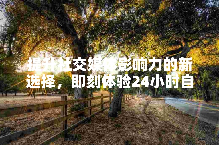 提升社交媒体影响力的新选择，即刻体验24小时自助抖音推广服务，让账号人气飙升！
