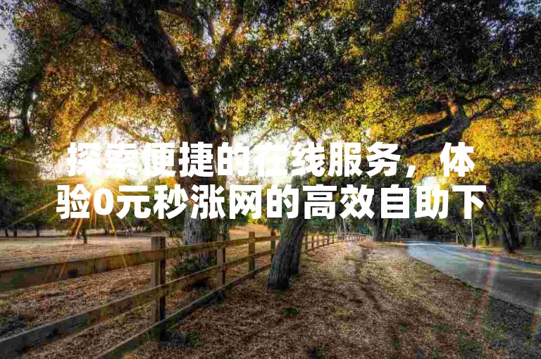 探索便捷的在线服务，体验0元秒涨网的高效自助下单平台。