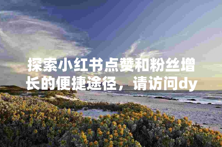 探索小红书点赞和粉丝增长的便捷途径，请访问dy买赞24小时自助下单平台。