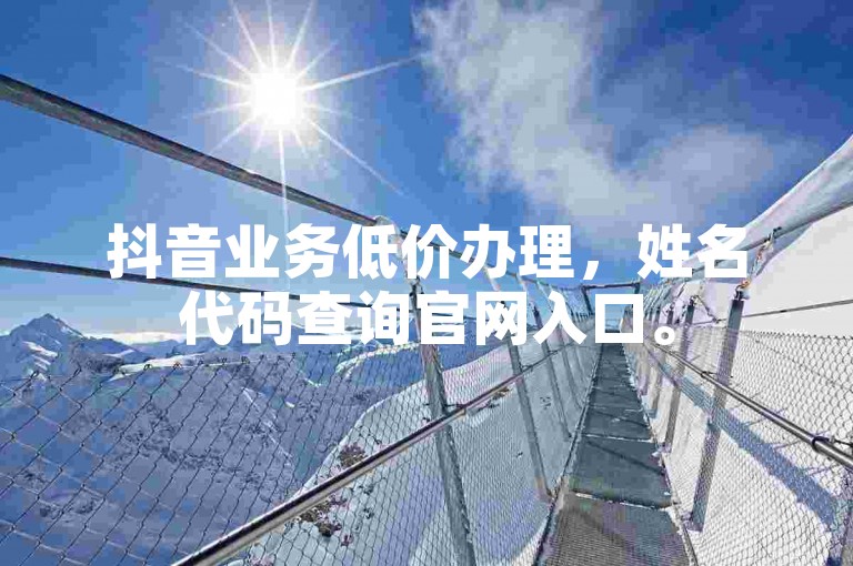 抖音业务低价办理，姓名代码查询官网入口。