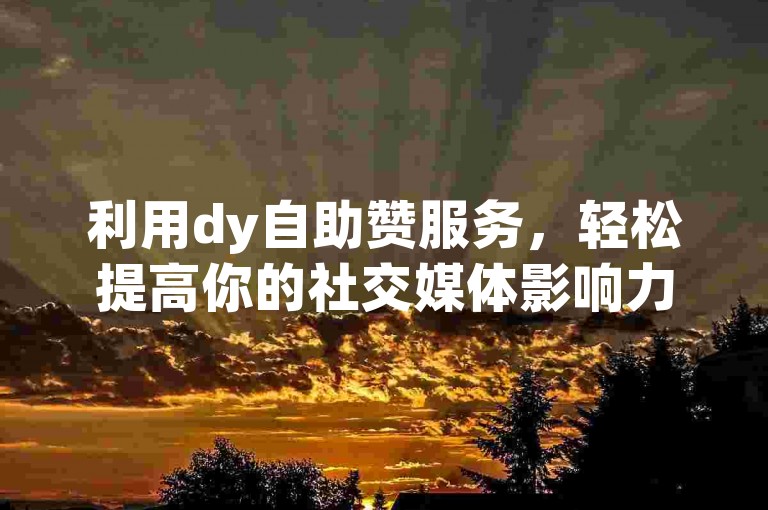 利用dy自助赞服务，轻松提高你的社交媒体影响力。