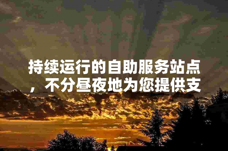 持续运行的自助服务站点，不分昼夜地为您提供支持，确保您的需求得到即时响应。