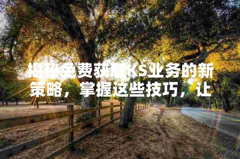 揭秘免费获取KS业务的新策略，掌握这些技巧，让您的业务在2024年实现飞跃！