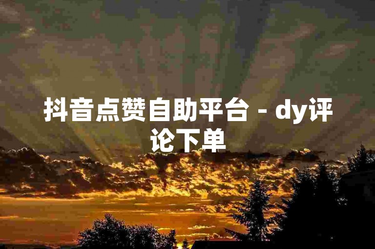 抖音点赞自助平台 - dy评论下单