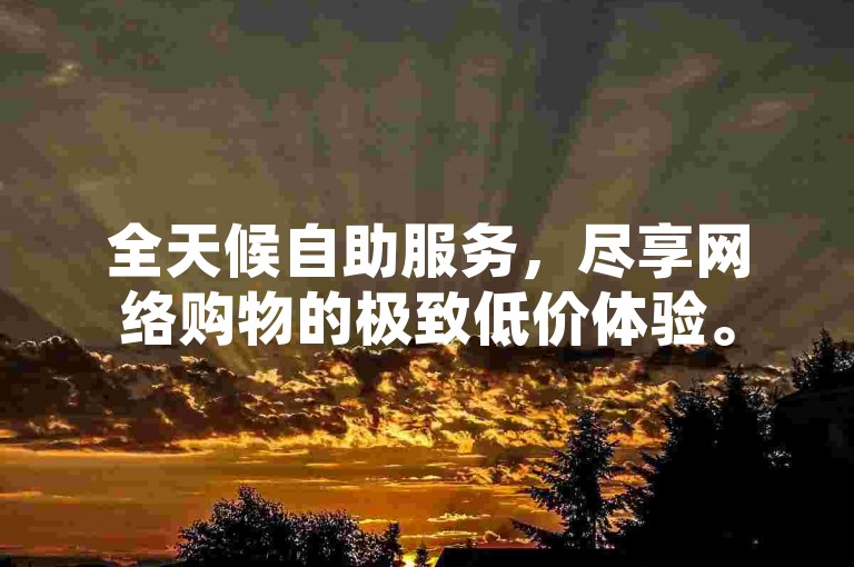 全天候自助服务，尽享网络购物的极致低价体验。