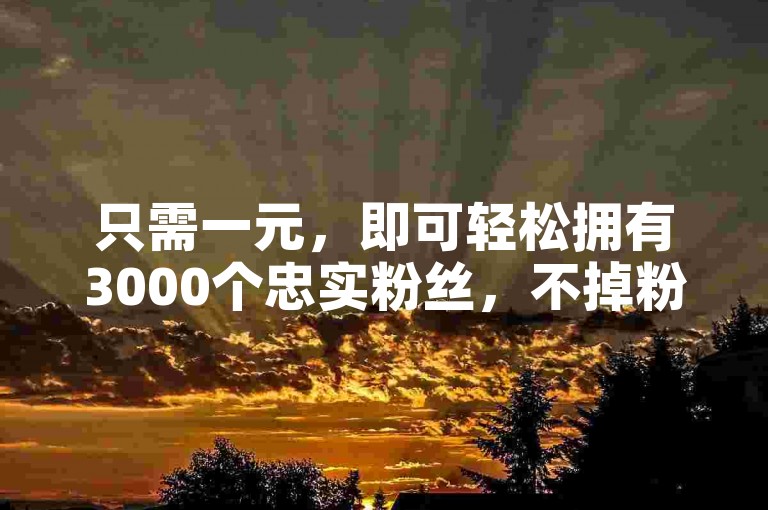 只需一元，即可轻松拥有3000个忠实粉丝，不掉粉的优质关注者等你来拥有。
