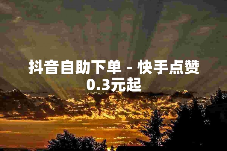抖音自助下单 - 快手点赞0.3元起