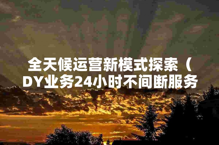 全天候运营新模式探索（DY业务24小时不间断服务）