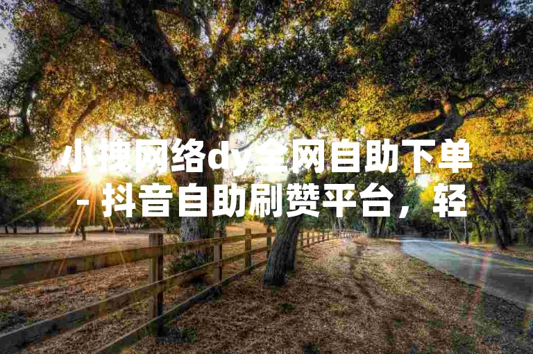 小拽网络dy全网自助下单 - 抖音自助刷赞平台，轻松提升你的视频热度！