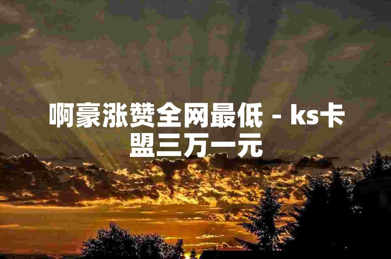 啊豪涨赞全网最低 - ks卡盟三万一元