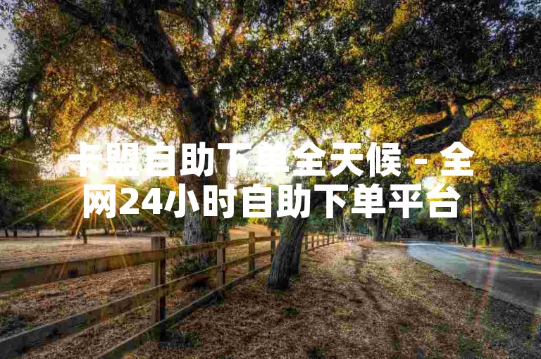 卡盟自助下单全天候 - 全网24小时自助下单平台