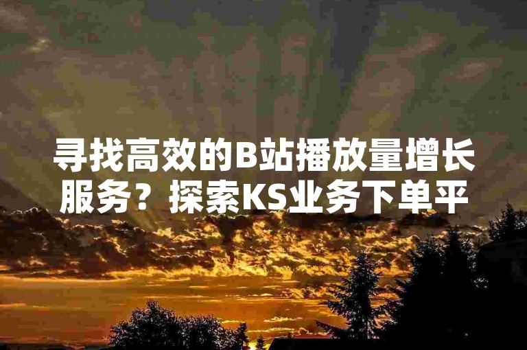 寻找高效的B站播放量增长服务？探索KS业务下单平台，发现网红助手的最佳选择。