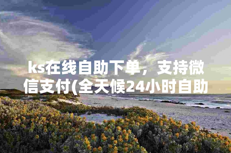 ks在线自助下单，支持微信支付(全天候24小时自助下单平台)。