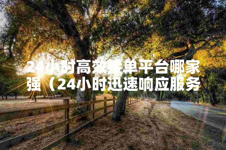24小时高效接单平台哪家强（24小时迅速响应服务较出色）
