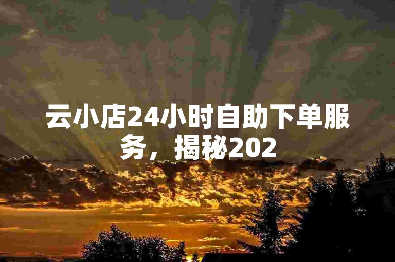 云小店24小时自助下单服务，揭秘2025年必备的快速下单技巧！